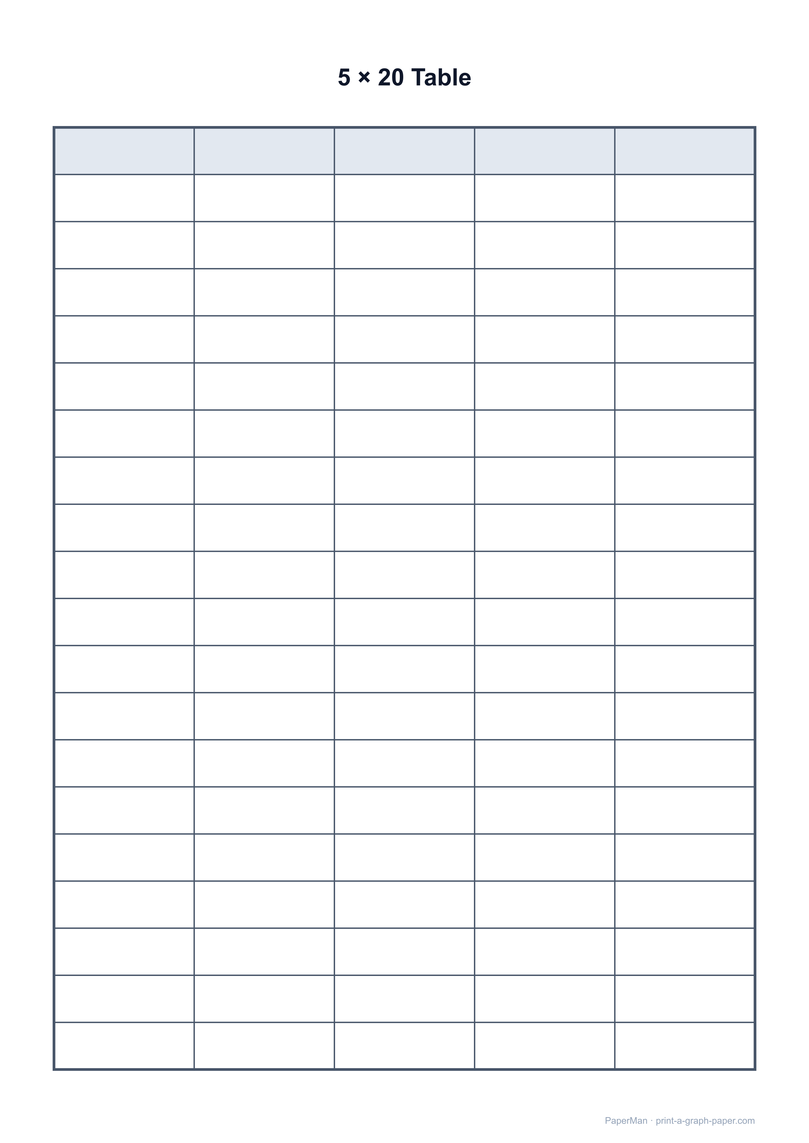 5 × 20 Blank Table preview