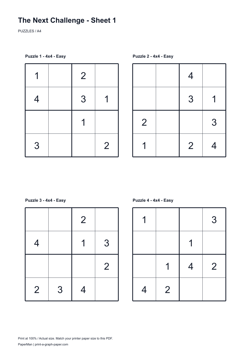 The Next Challenge worksheet preview