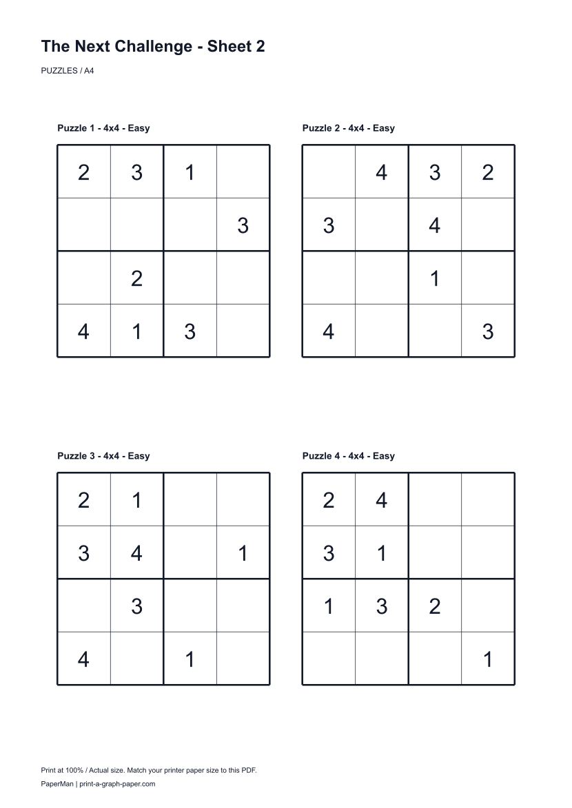 The Next Challenge, worksheet 2: four printable puzzles